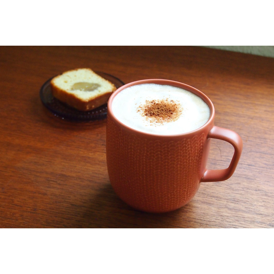 【取扱終了0325】イッタラ　サルヤトン　マグカップ　360ml　レッティ　レッドクレイ　/　iittala　Sarjaton