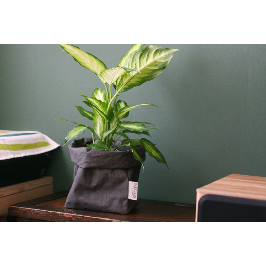 【取扱終了】ウォッシュママ　ウォッシャブルペーパーバッグ　M　ダークグレー　/　UASHMAMA